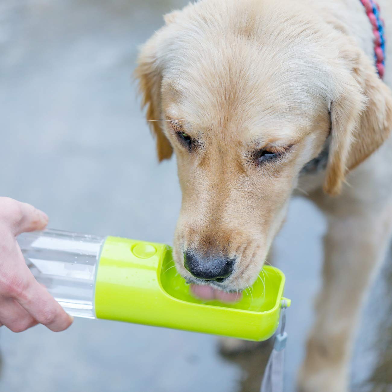 ONE TOUCH WATER BOTTLE