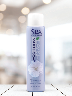SPA WHITE COAT PET SHAMPOO