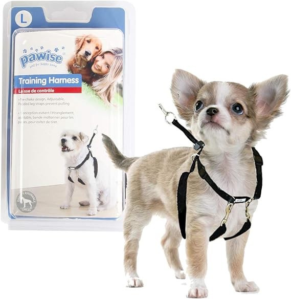 Pawise Dog Training Harness M (1''x16-24'')