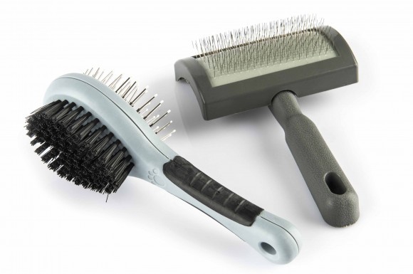 Dogs Brush Set of 2
