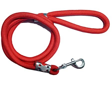 Pawise Leash SMALL