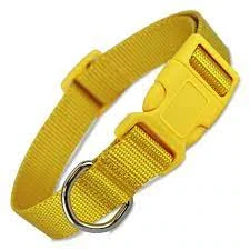 Nylon Dog Collar Yellow