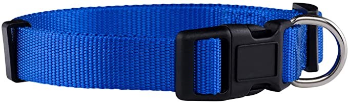 Nylon Dog Collar Blue S