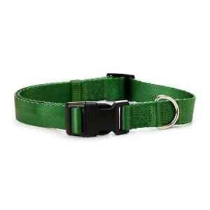 Classic Nylon Dog Collar Green