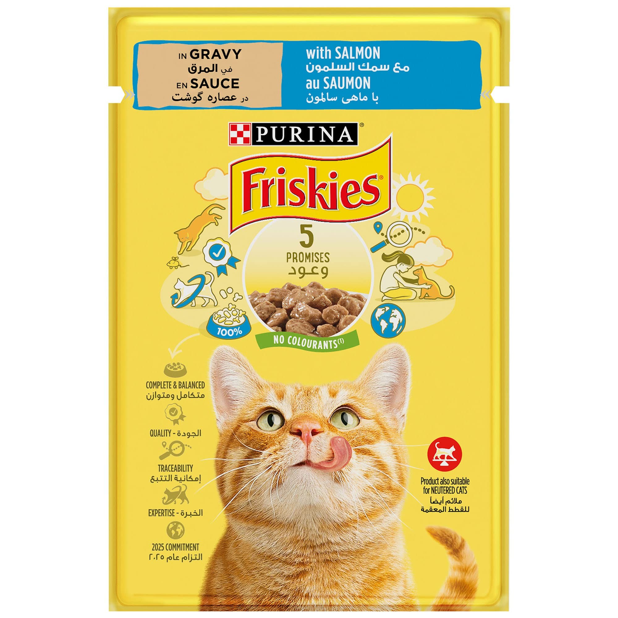 Purina Friskies Salmon Chunks in Gravy Pouch 85g