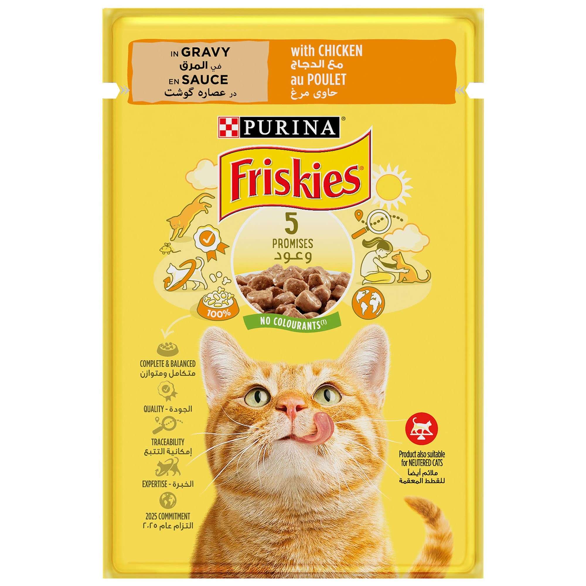 Purina Friskies Chicken Chunks in Gravy Pouch 85g