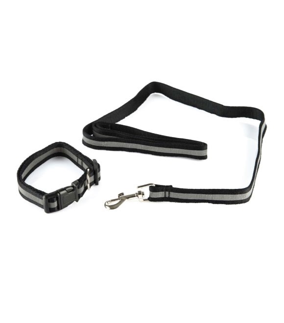Pet Collar And Lead