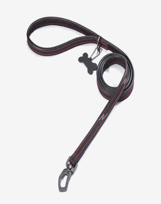 Dogness Leather Arrow Pattern Leash
