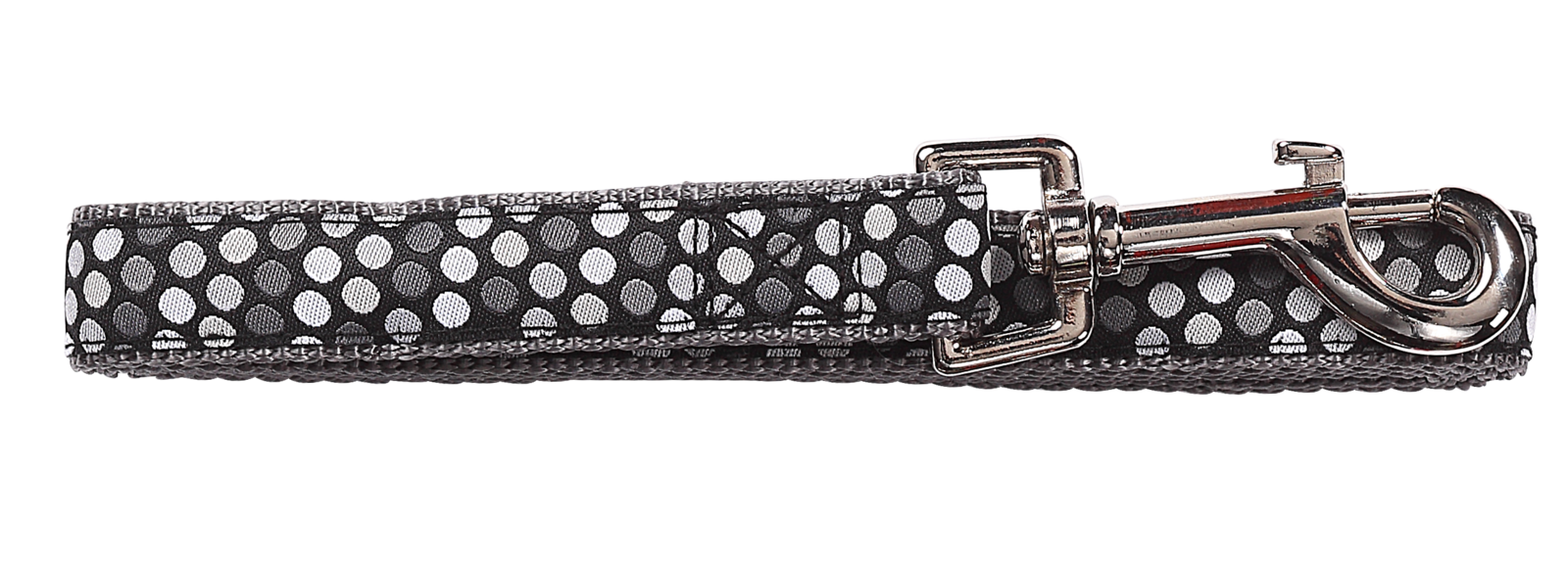 Pawise Dog Leash Black M