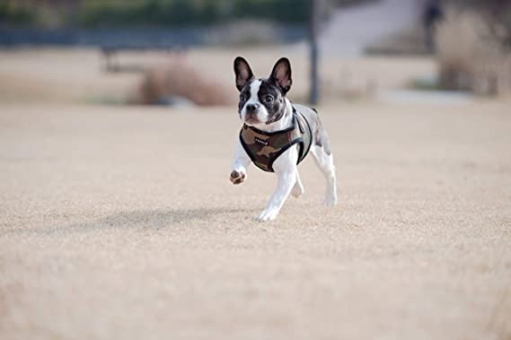 PUPPIA  Harness Soft B Vest CAMO