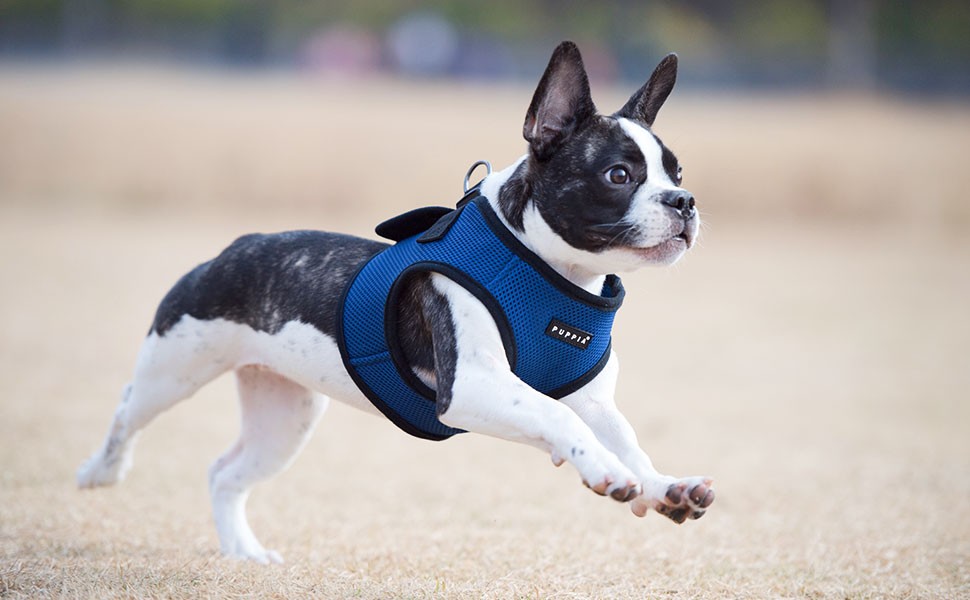 PUPPIA SOFT HARNESS RITEFIT NAVY