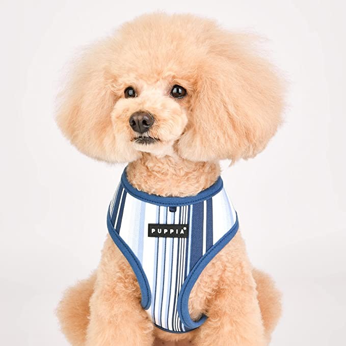 Puppia Caiden Harness A - Blue