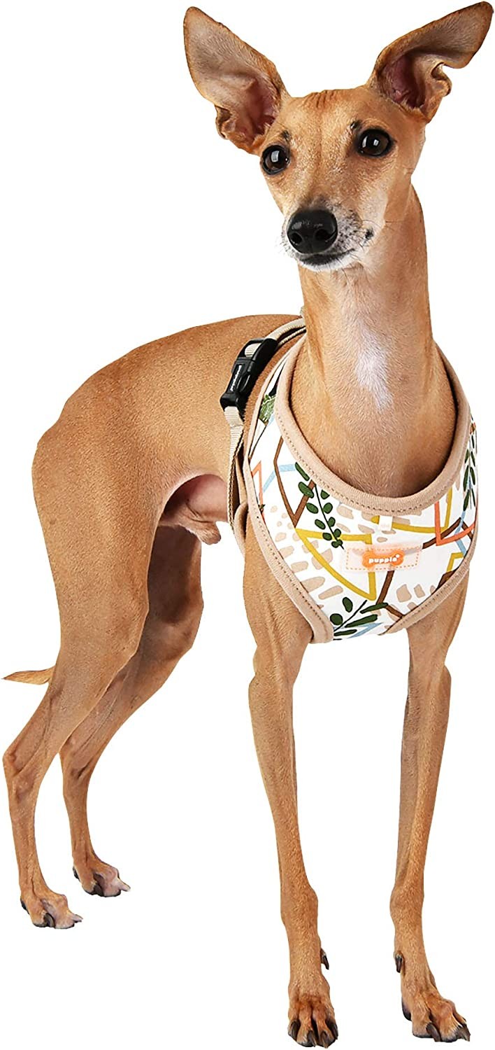 Puppia Botanical Harness A Colour : Beige