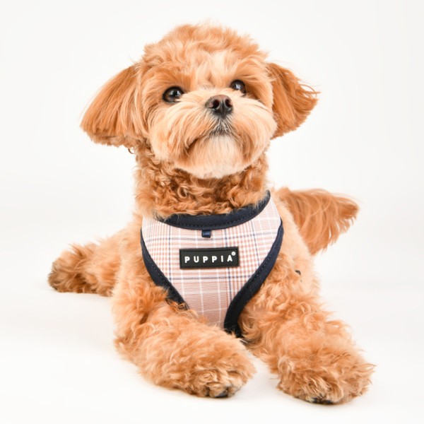 PUPPIA BLAKE HARNESS A