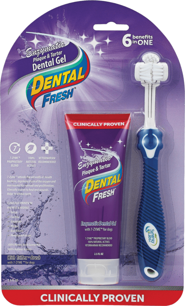 Synergy Lab Dental Fresh Enzymatic Toothbrush Kit