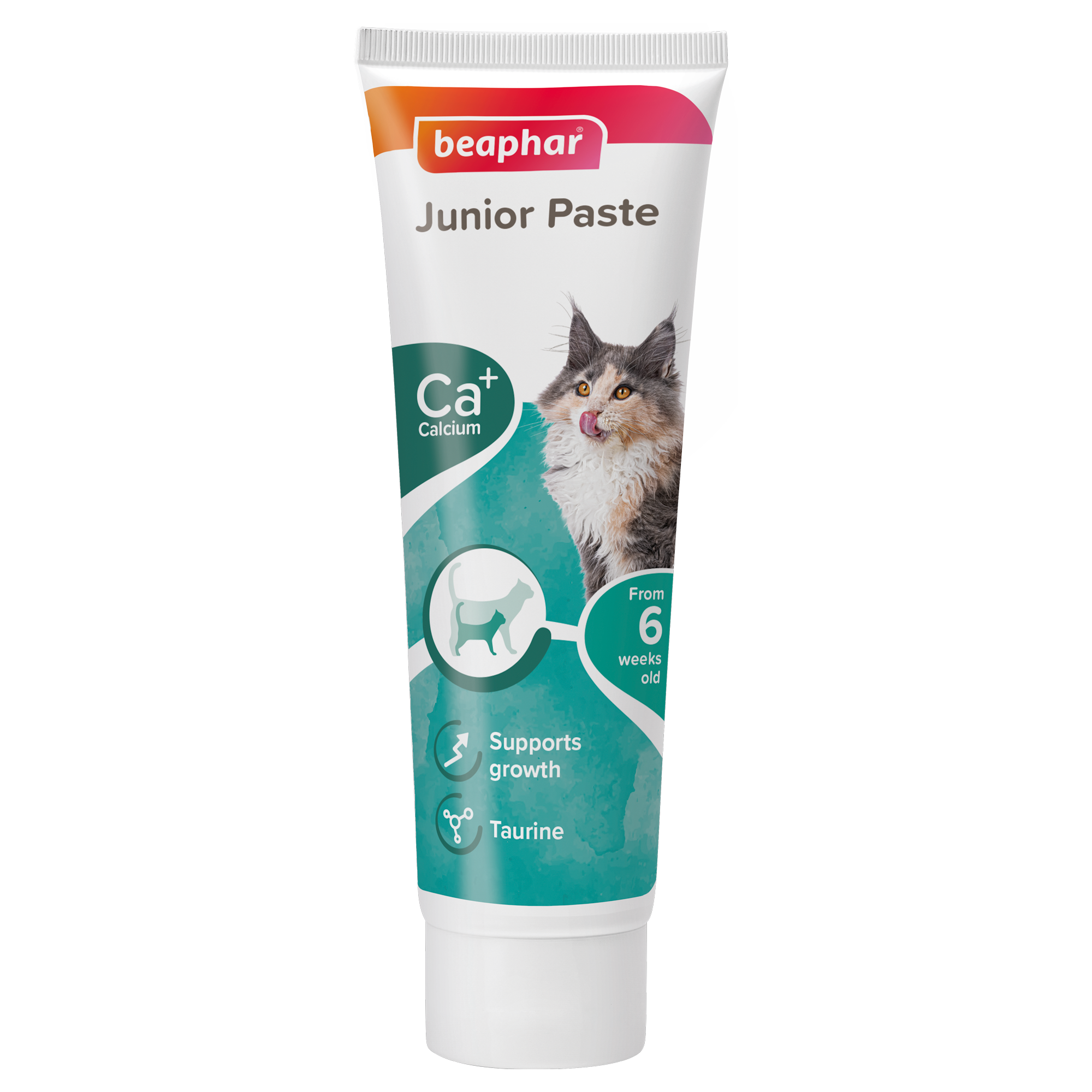 Beaphar Junior Paste for Cat 100g