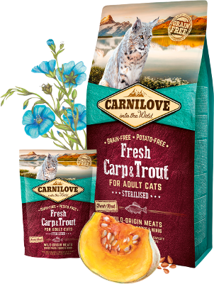 Carnilove Fresh Carp & Trout For Adult Cat 2kg