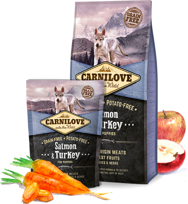 Carnilove Salmon &amp; Turkey for Puppies 4 kg
