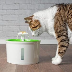 Round shape flower water feeder 1.6 liter - AVC Pet Store