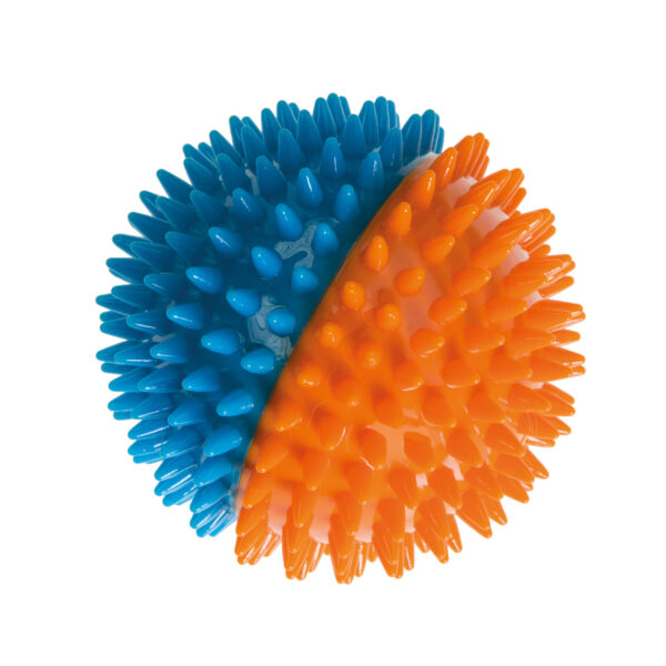 SQUEAKING SPIKE BALL MULTICOLOURED - AVC Pet Store