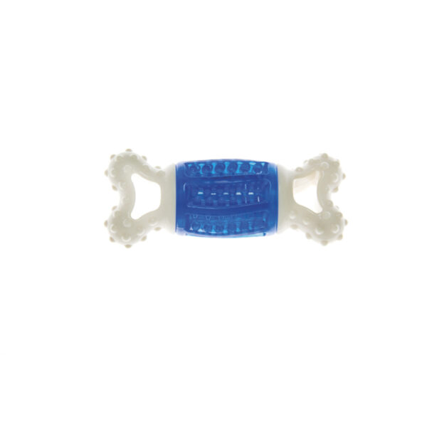 DENTAL BONE IN NYLON & TPR W/SOUND EFFECT - AVC Pet Store