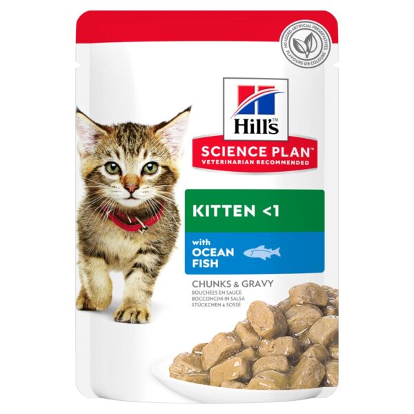 HILL'S Kitten Food with Ocean Fish Pouch - AVC Pet Store