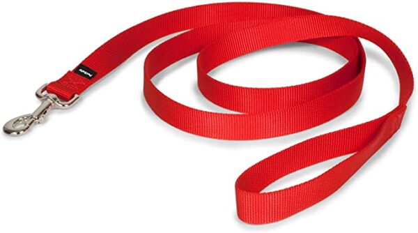 Nylon Dog Leash - AVC Pet Store