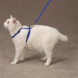 Savvy Tabby Nylon Cat Harness Blue - AVC Pet Store