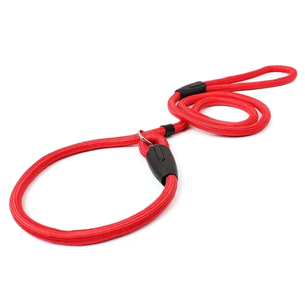 Dog Leash Slip Lead Adjustable - Image 2