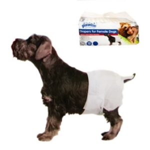 Pawise Disposable Diapers For Female Dogs - AVC Pet Store