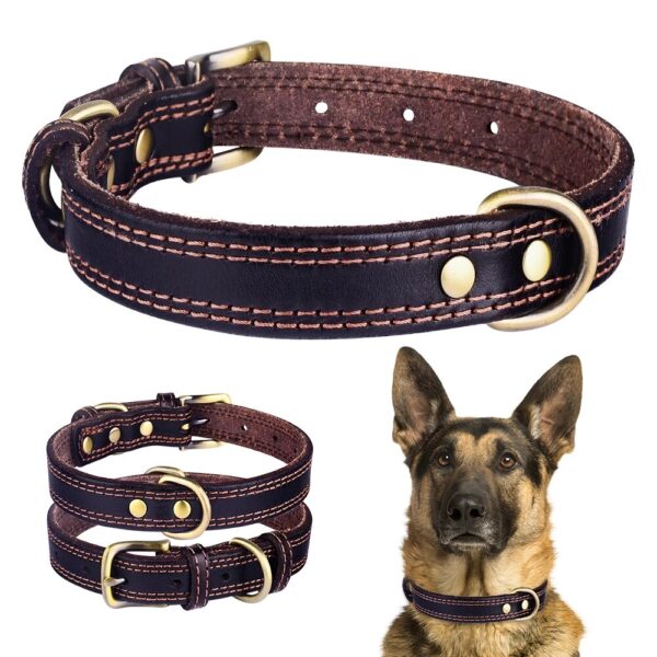 Hawoo Collar for dogs - AVC Pet Store