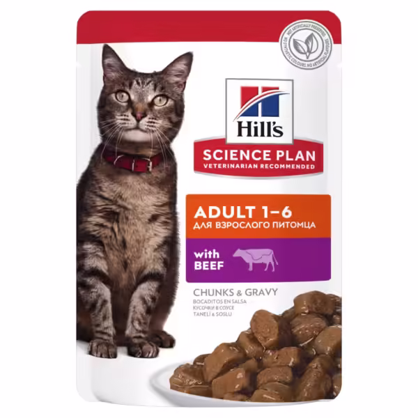 Sp Hills Adult Cat 1-6 Beef Flavor - AVC Pet Store